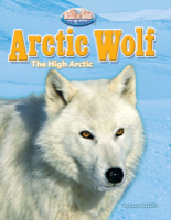 Arctic Wolf