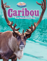 Caribou