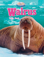 Walrus