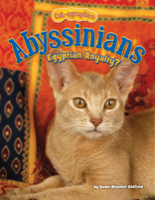 Abyssinians
