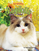 Ragdolls