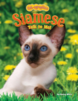 Siamese