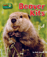 Beaver Kits