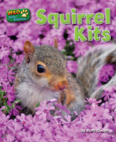 Squirrel Kits