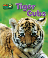 Tiger Cubs