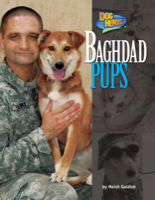 Baghdad Pups