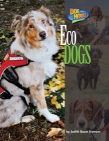 Eco Dogs