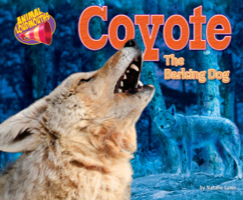 Coyote