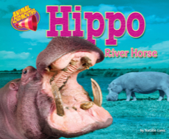 Hippo