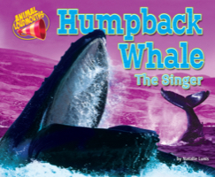 Humpback Whale