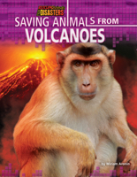 Saving Animals from Volcanoes