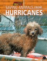 Saving Animals from Hurricanes