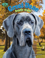 Great Dane