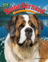 Saint Bernard
