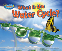 What Is the Water Cycle?