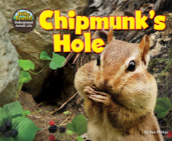 Chipmunk’s Hole