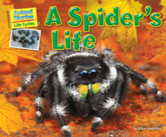 A Spider's Life