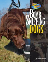 Bomb-Sniffing Dogs