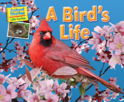 A Bird’s Life