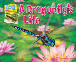 A Dragonfly’s Life