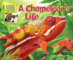 A Chameleon's Life