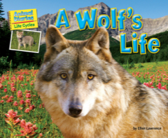 A Wolf’s Life