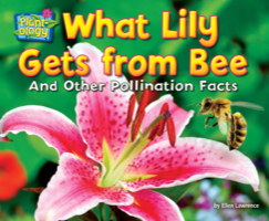 What Lily Gets from Bee
