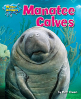 Manatee Calves
