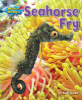 Seahorse Fry