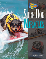 Surf Dog Miracles