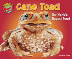 Cane Toad