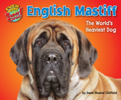 English Mastiff
