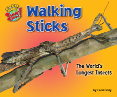 Walking Sticks