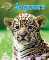 Jaguars