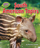 South American Tapirs