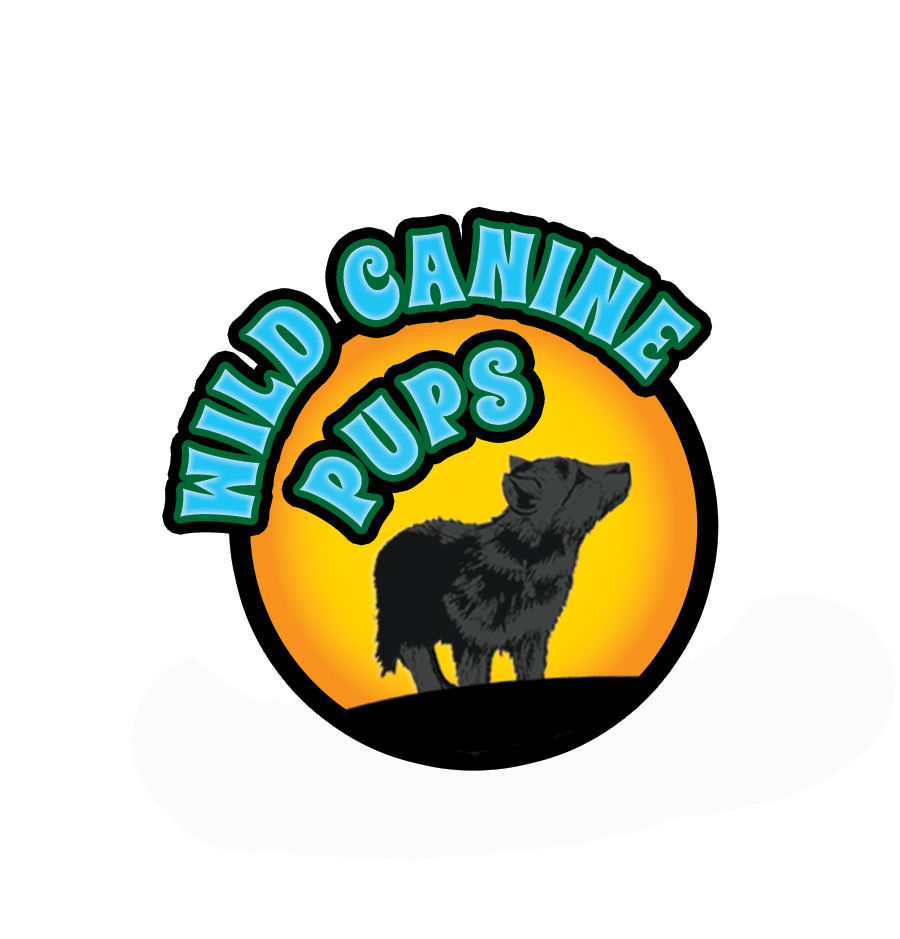Wild Canine Pups