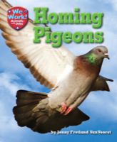 Homing Pigeons