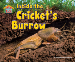 Inside the Cricket’s Burrow