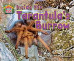 Inside the Tarantula’s Burrow