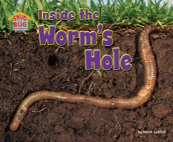 Inside the Worm’s Hole