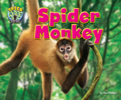 Spider Monkey