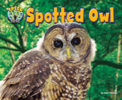 Spotted Owl