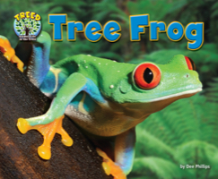 Tree Frog