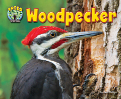 Woodpecker