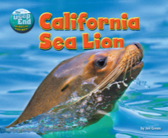 California Sea Lion