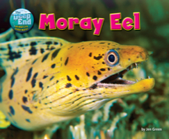 Moray Eel