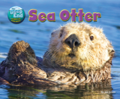 Sea Otter