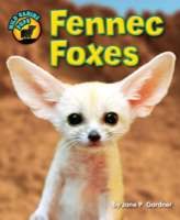 Fennec Foxes