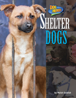 Shelter Dogs
