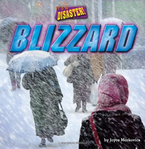 Blizzard (It's a Disaster!)